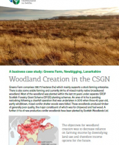 FGS The Greens case study factsheet.pdf